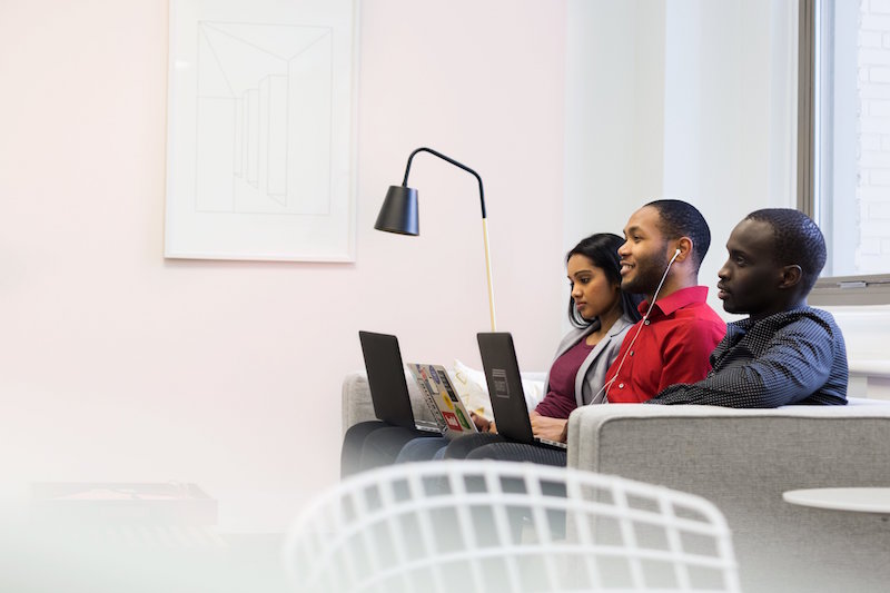 Three young adults on laptops sitting on sofa