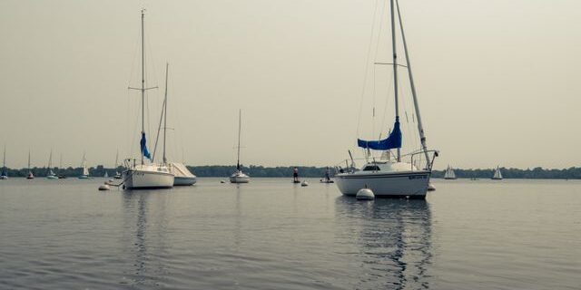 2 sailboats in a harbor