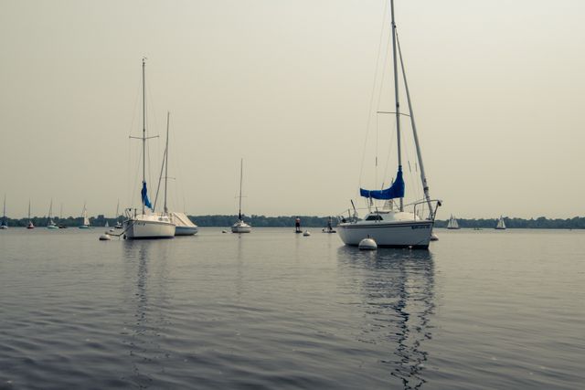 2 sailboats in a harbor